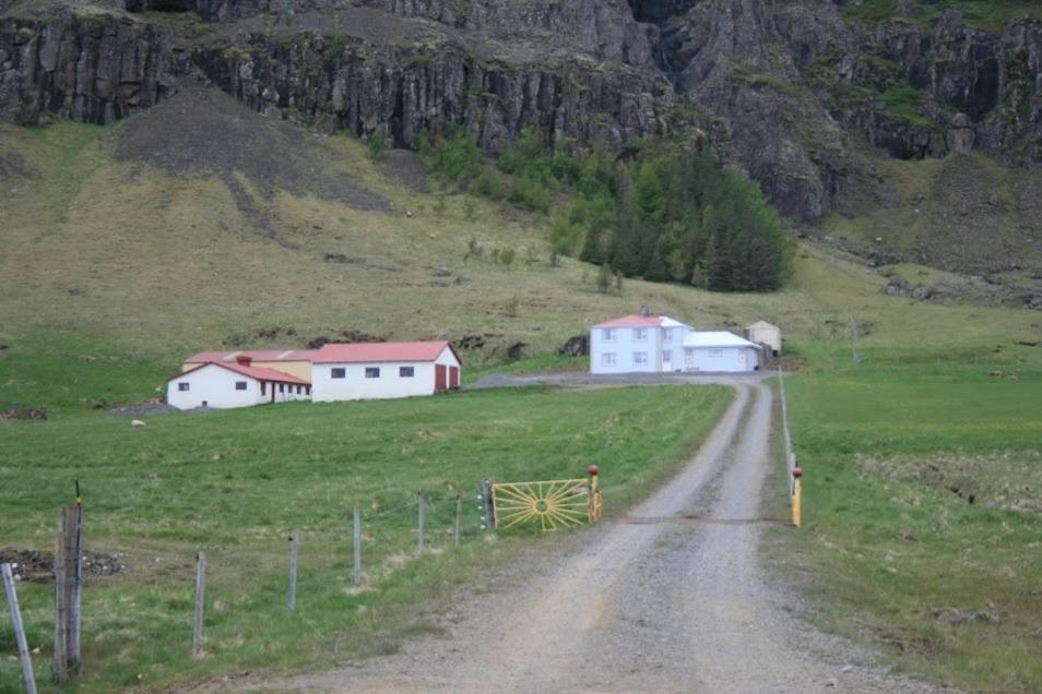 Guesthouse Stekkatun Skalafell Экстерьер фото